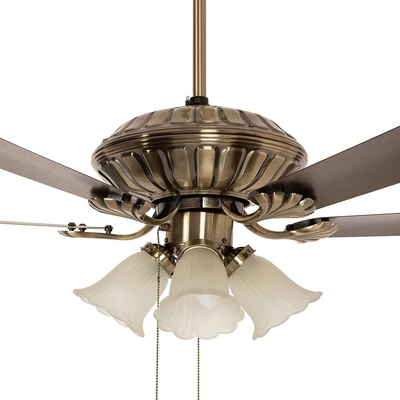 Crompton Jupiter 48" Decorative Ceiling Fan with Lights (Antique Brass ) C-215_img_1